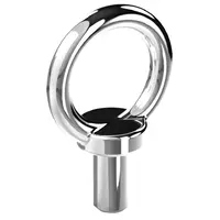 Eyebolt