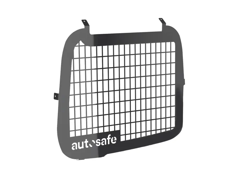 Window Guard for Citroën Berlingo (12/2015 - current) Barn Door Passenger Side Window